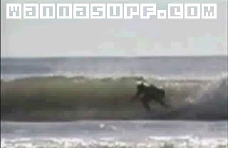 surf photo