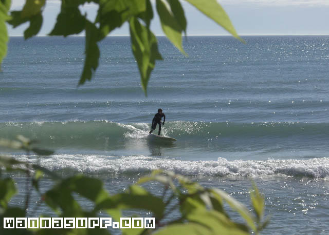surf photo
