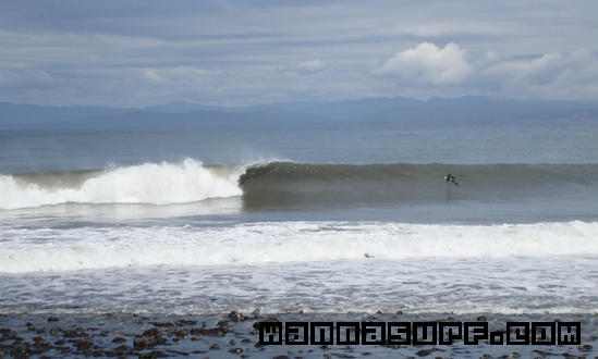 surf photo