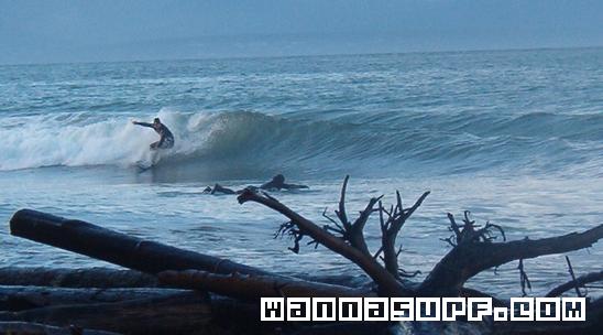surf photo