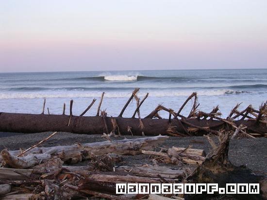 surf photo