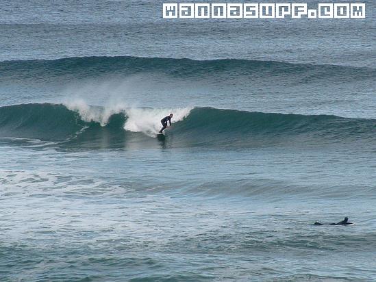 surf photo