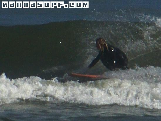 surf photo