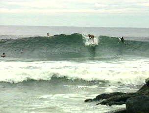 surf photo