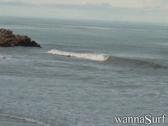 surf photo