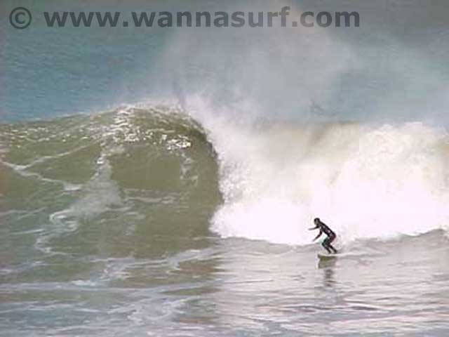 surf photo
