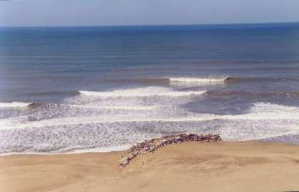 surf photo