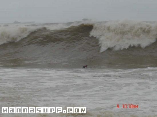 surf photo