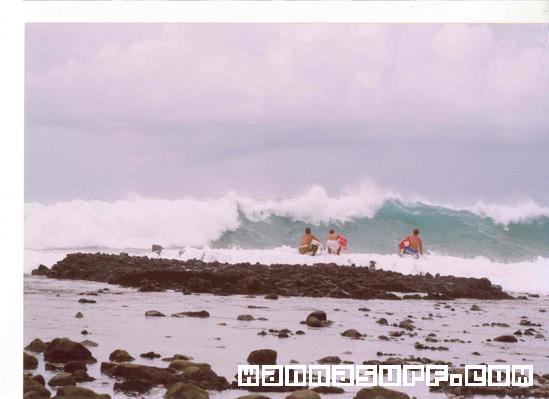 surf photo