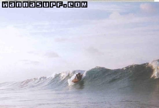 surf photo