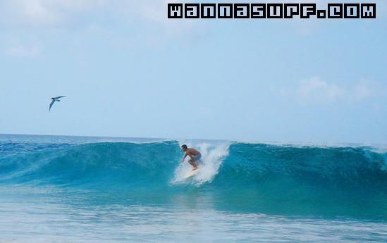 surf photo