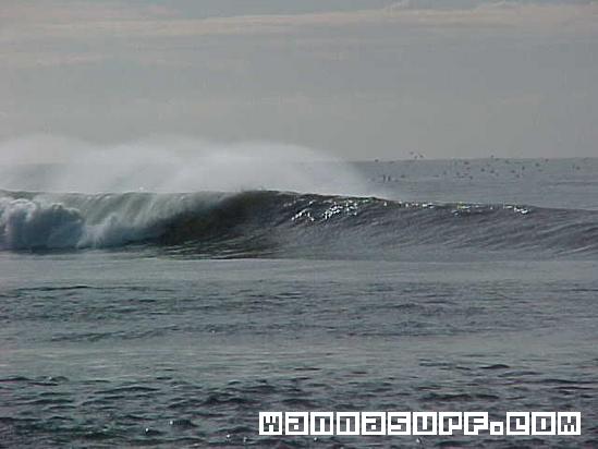 surf photo