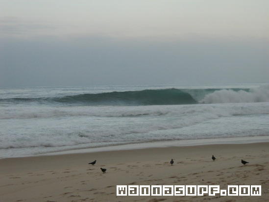 surf photo