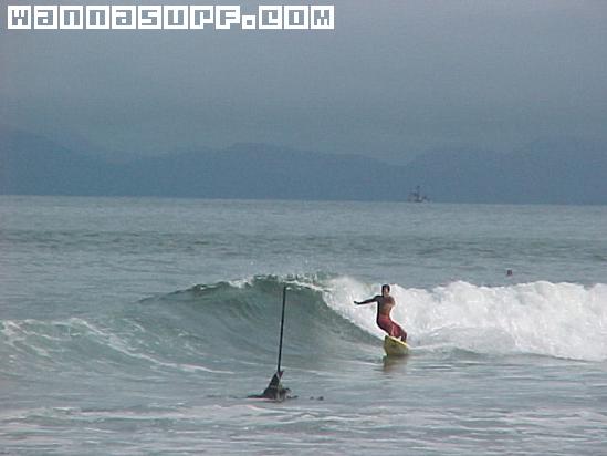 surf photo