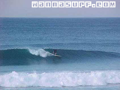 surf photo