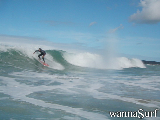 surf photo