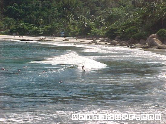 surf brazil
