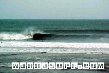 surf photo