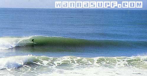 surf photo