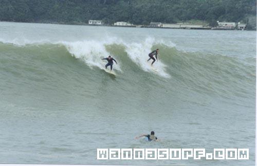 surf photo