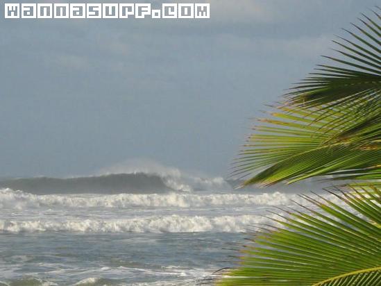 surf photo