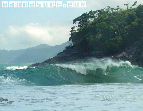 surf photo
