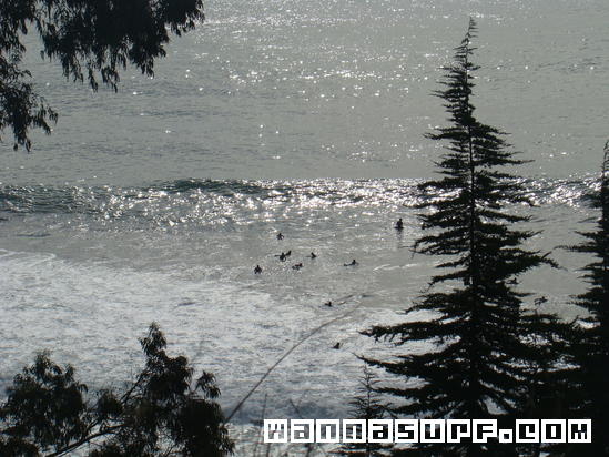 surf photo