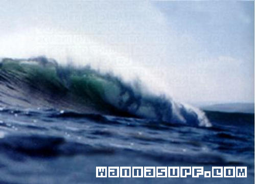 surf photo