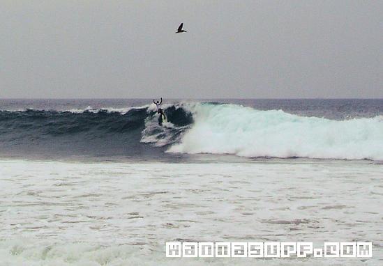surf photo