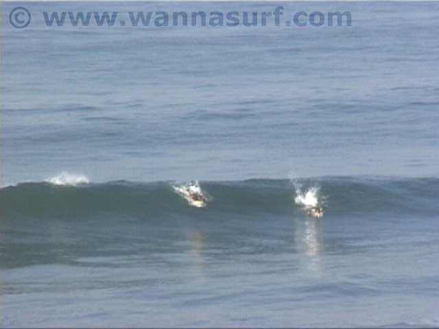 surf photo