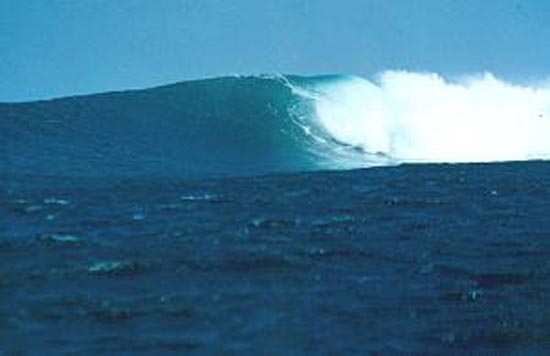 surf photo