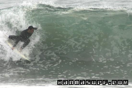 surf photo