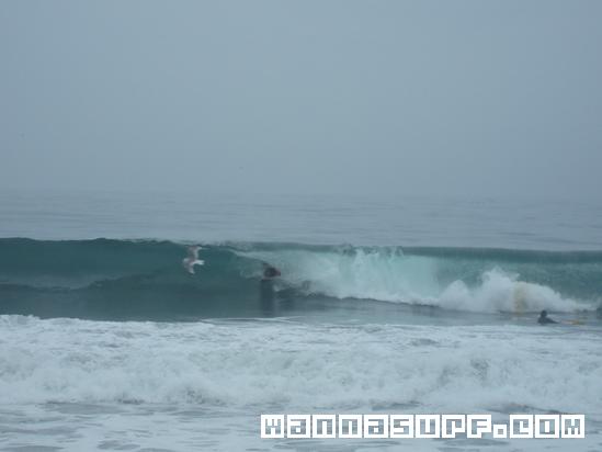 surf photo