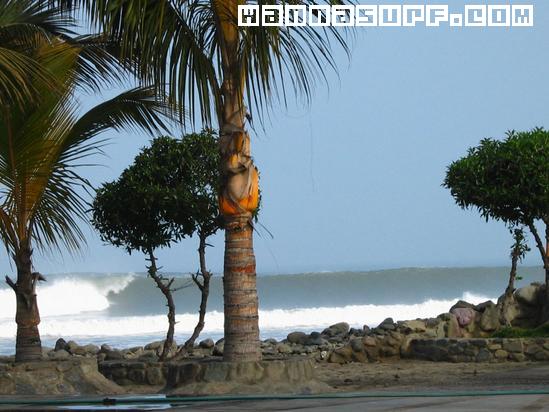 surf photo