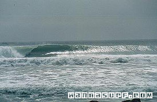 surf photo