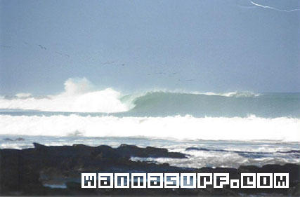 surf photo