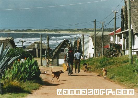 surf photo