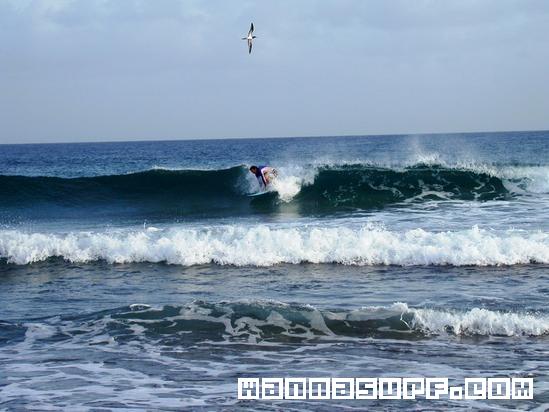 surf photo