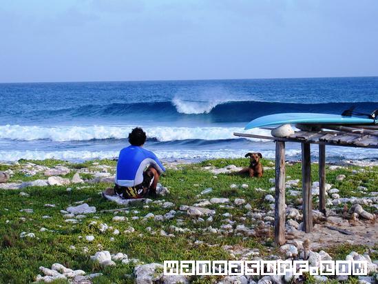 surf photo