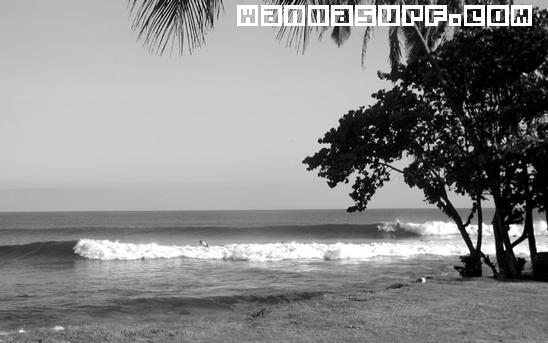 surf photo