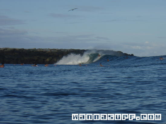 surf photo