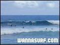 photo de surf