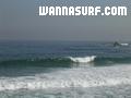photo de surf