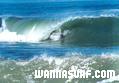 photo de surf