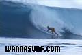 surf photo