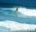 photo de surf