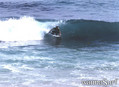 photo de surf