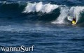 surf photo