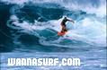 surf photo