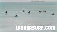 photo de surf